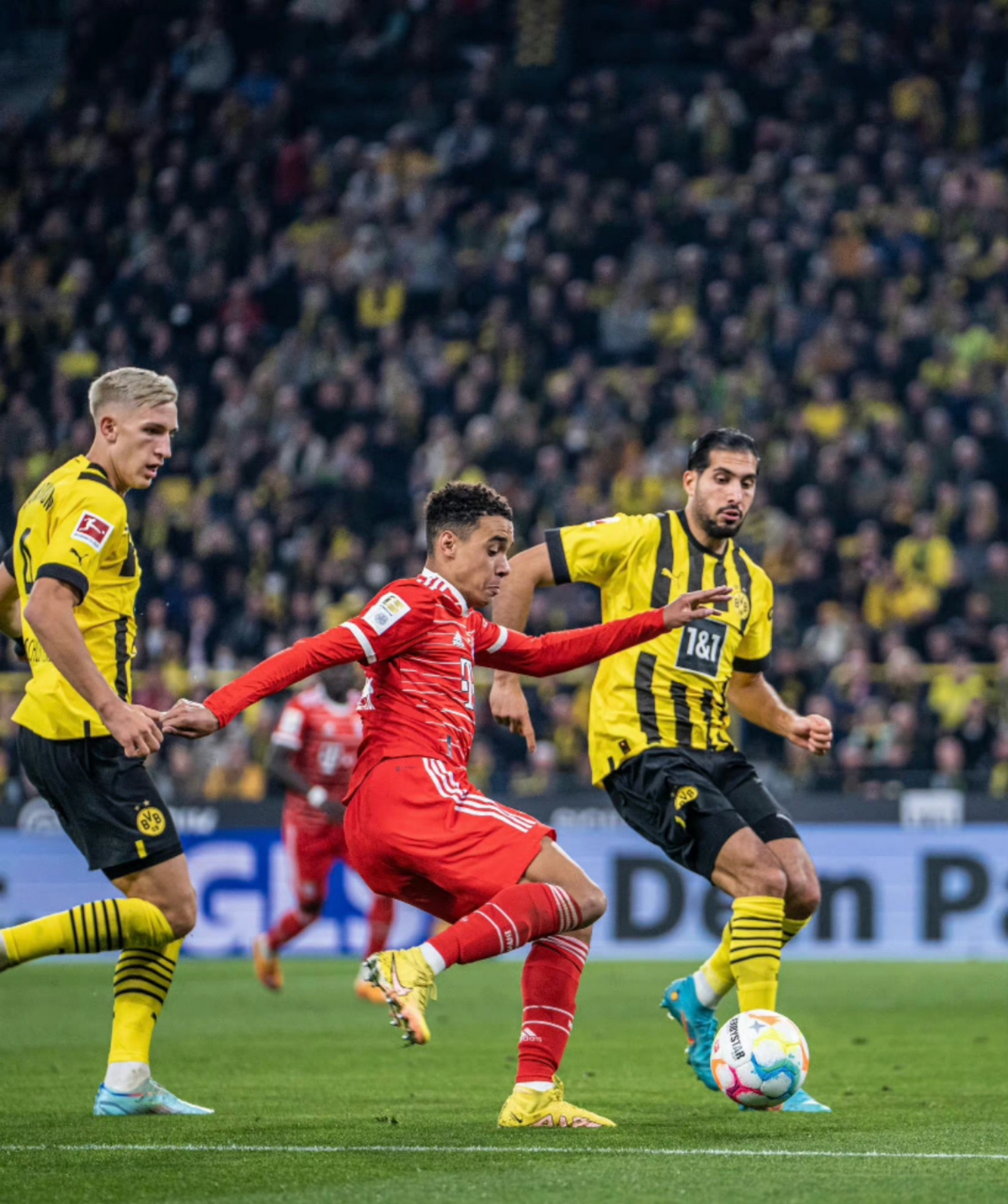 欧博官网ABGOUBO-2024猛龙队球员名单