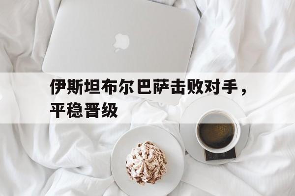 欧博官网ABGOUBO-伊斯坦布尔巴萨克赛尔足球俱乐部主场